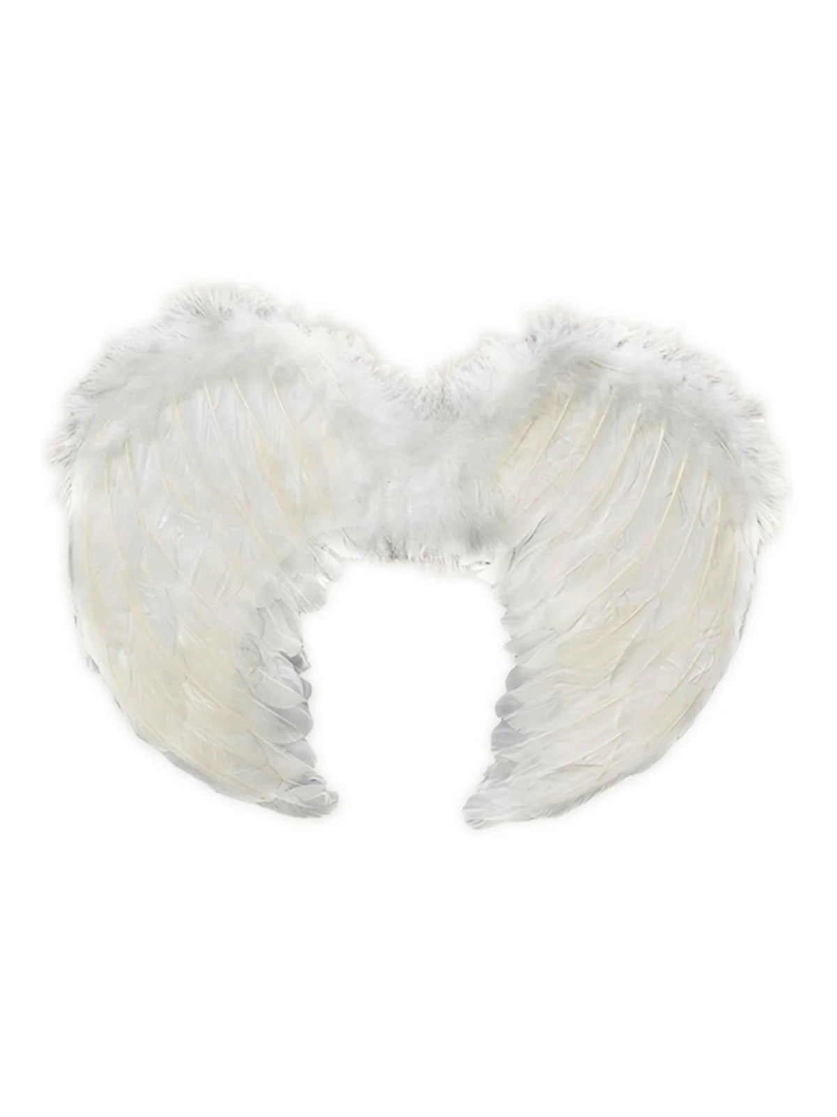 Alas grandes de ángel