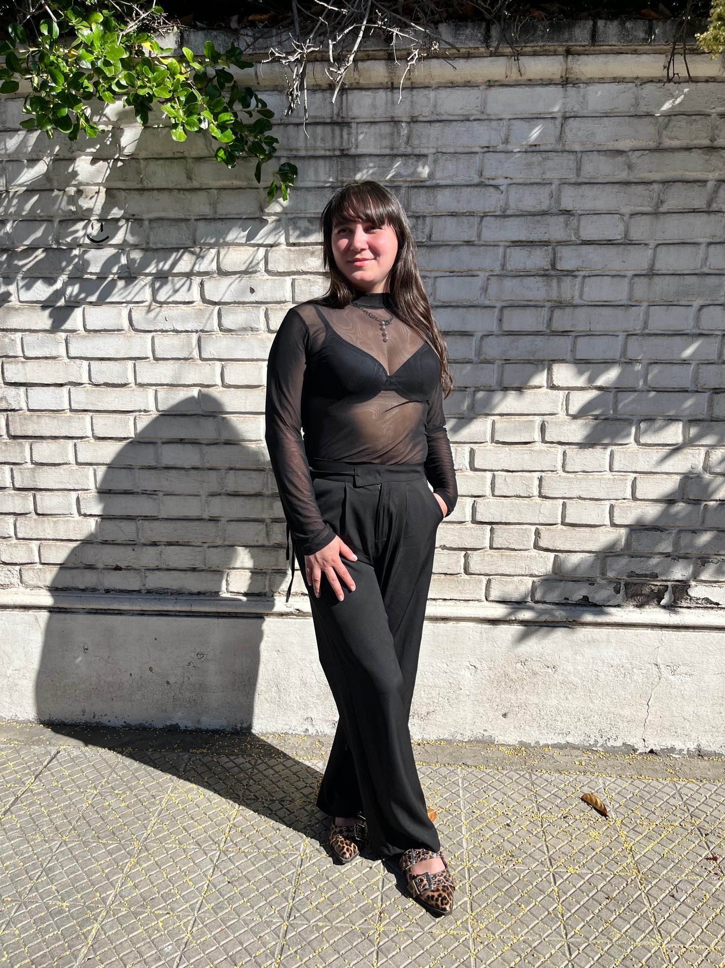Body transparencia