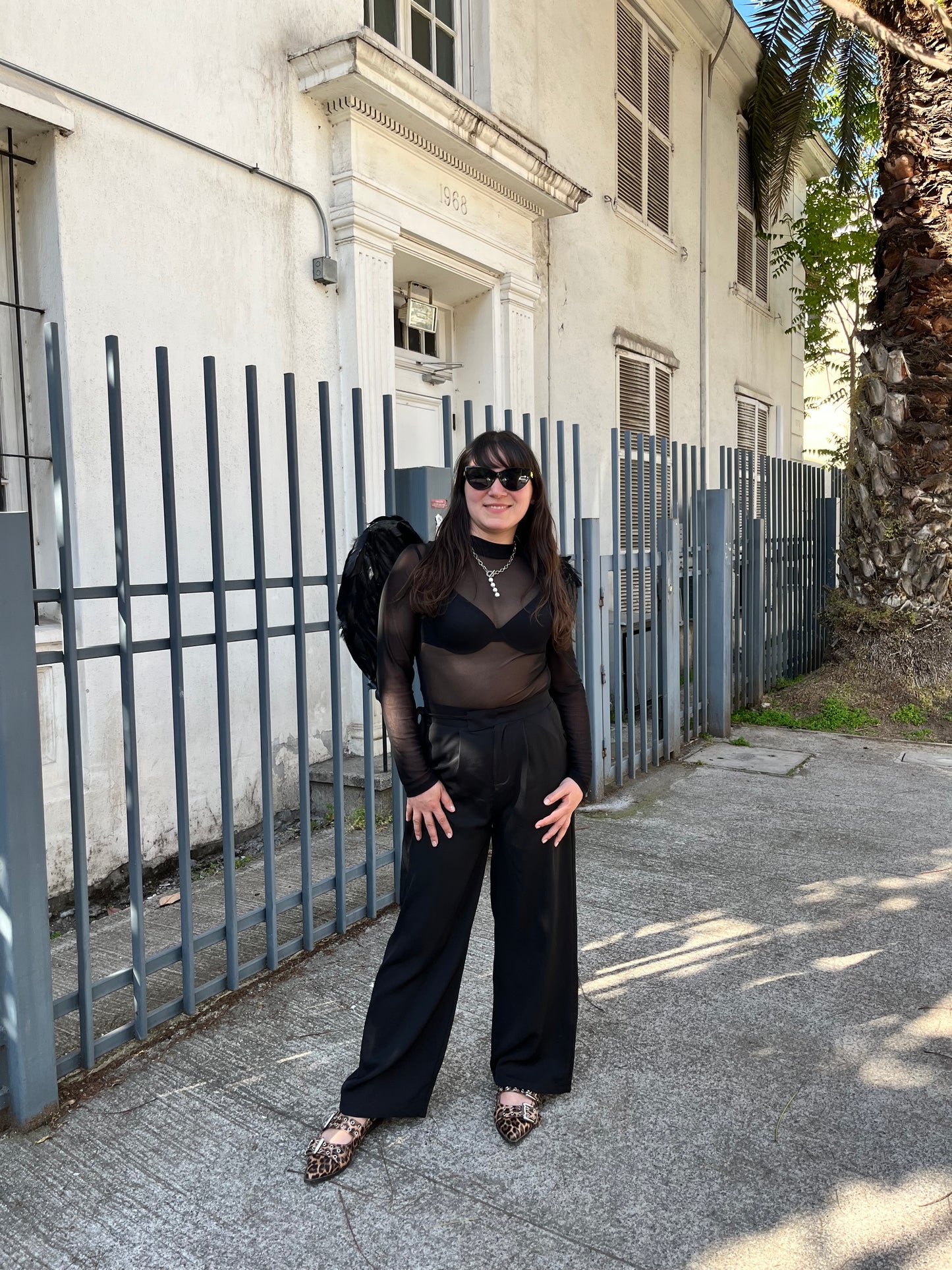 Body transparencia