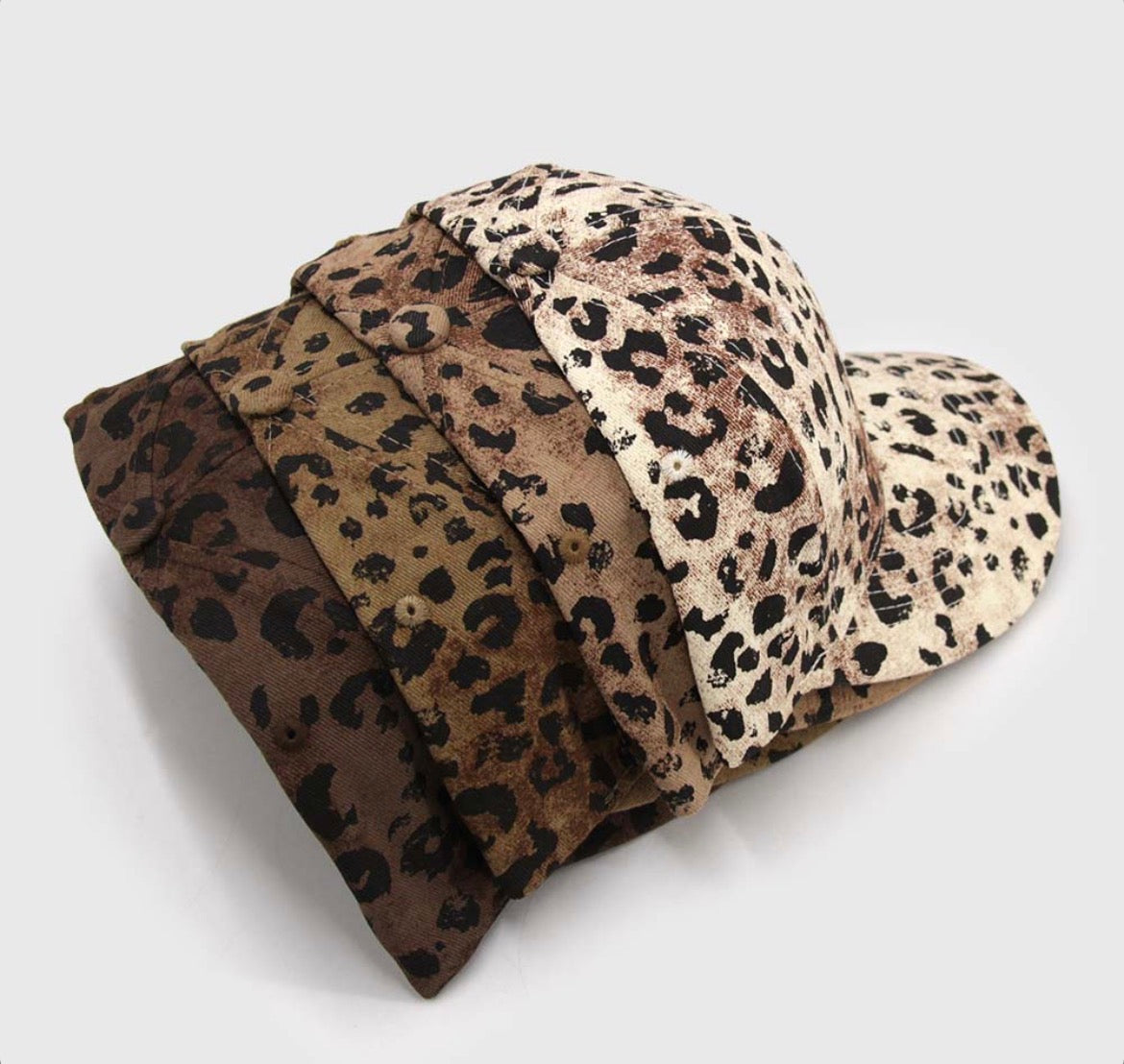 Jockeys estrella - Print Leopardos