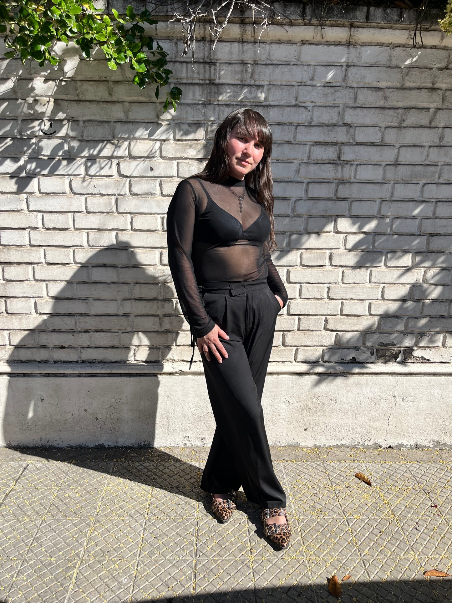 Body transparencia